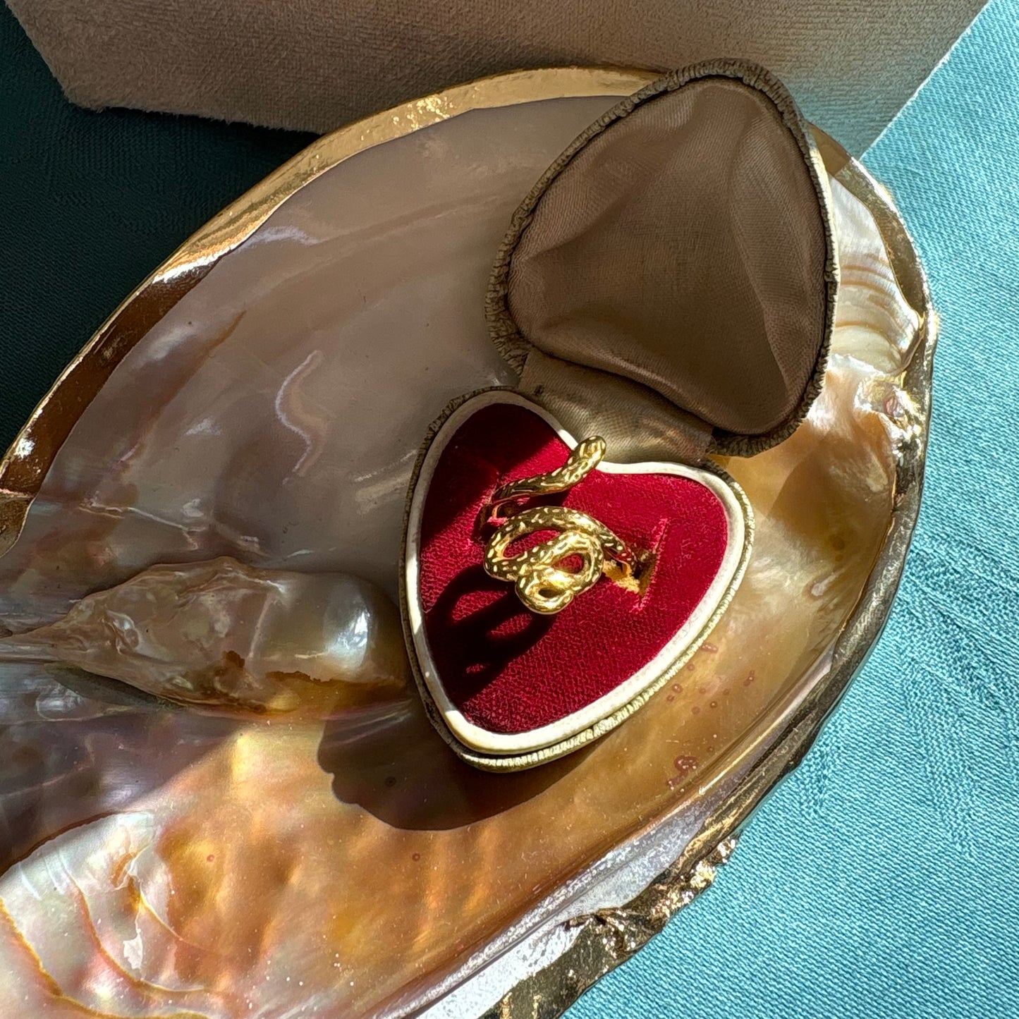 ANELLO MUTA-MENTI