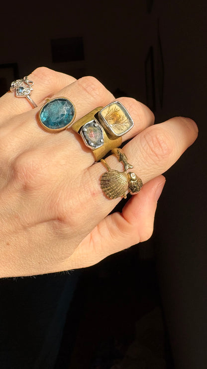 anello conchiglia