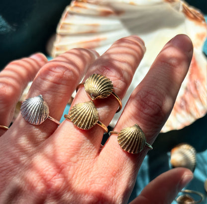 anello conchiglia