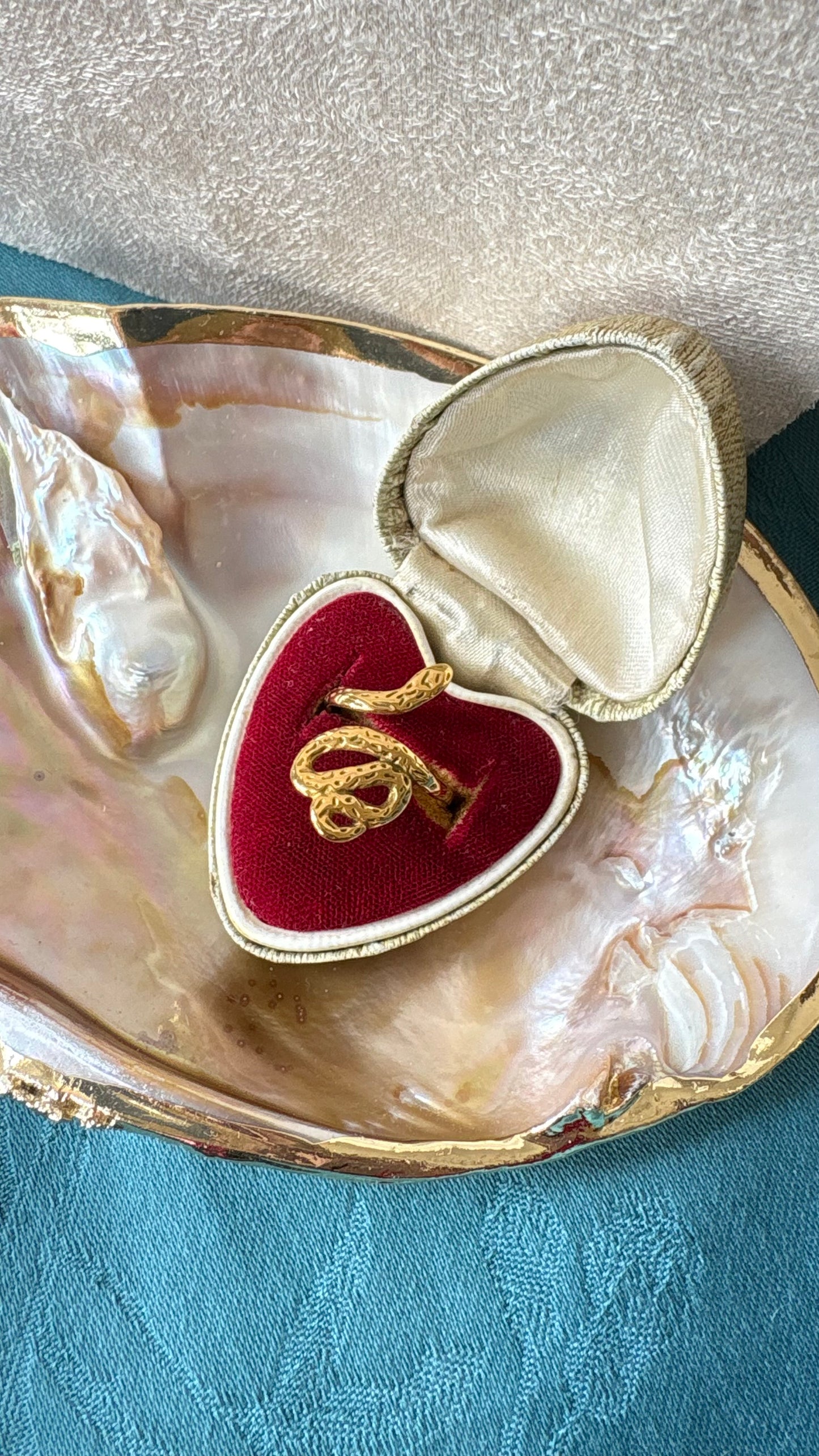 ANELLO MUTA-MENTI