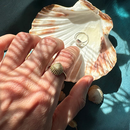 anello conchiglia