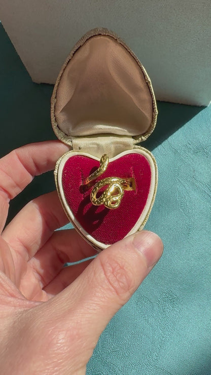 ANELLO MUTA-MENTI